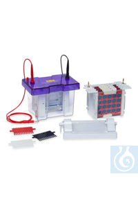 Complete Mini (10x10 cm) Vertical Electrophoresis & Blotting System The Complete mini (10 x 10...