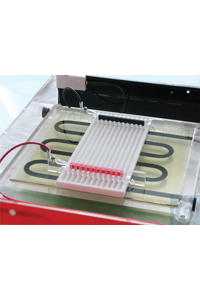 Flatbed IEF System for IEF strips and gels Description 
Now equipped with rehydration and...
