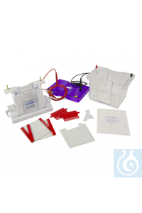 OmniPAGE Mini 10x10cm Dual, 2 sets of Glass Plates, 1mm thick bonded Spacers, 2x12 sample, 1mm...