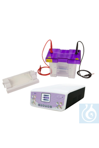 Pre-Cast & Hand Cast Gel Mini-Vertical Electrophoresis Package Description 
Whether you require a...