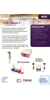 Labset2 Includes: 
•PowerPro 300 
•MSMINI10 X 2 
•CV20 X 4 
•MS7-8-1 X 16 
•CSL-EDUPACK...