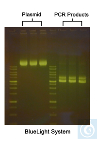 CSL-RUNSAFE - Package: 1ml/vial Description 
See your samples separate in real time 
RunSAFE is a...