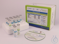 EliGene&reg; MTB UNI Kit für Mycobacterium tuberculosis CE-IVD