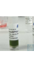 MycoSPY Master Mix, 25 Assays PCR Test-Kit für die schnelle, hochempfindliche...