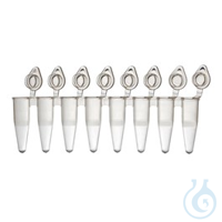LabQ PCR 8-Well Tube Strip  & optically clear, cap-strip