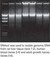 Bactozol Kit (BA 154) Bactozol Kit (BA 154) 
Bactozol™ is a kit for the isolation of DNA from...