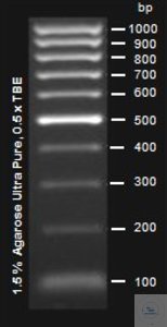 Atlas Star 100 bp DNA Ladder EXPRESS Atlas 100bp DNA Ladder consists of multiple repeats of...