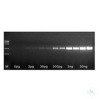  MyTaq One-Step RT-PCR Kit, 25 Reactions