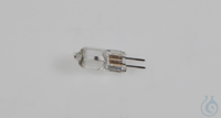 6V/30W halogeenlamp (Philips), voor doorvallend-lichtmicroscopen...