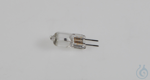 Birne KERN OBB-A1372