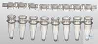 ACCUMAX PCR- 0,2 ml PCR-8-Streifen-Röhrchen mit separater flacher Kappe, VE=120 ACCUMAX...