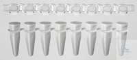 ACCUMAX PCR- 0,2 ml qPCR-8-Streifen-Röhrchen mit optischem Verschluss, VE=120 ACCUMAX...