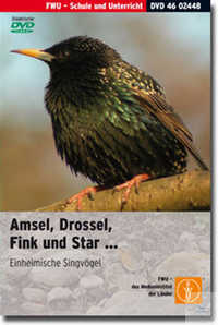 DVD - Amsel, Drossel, Fink und Star... DVD - Amsel, Drossel, Fink und Star...