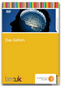 DVD - Das Gehirn DVD - Das Gehirn