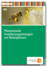 DVD - Pflanzenkunde - Fortpflanzungsstrategien von Blütenpflanzen DVD -...