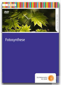 DVD - Fotosynthese DVD - Fotosynthese
