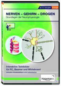Interaktives Tafelbild: Nerven - Gehirn - Drogen - Einzellizenz Interaktives...