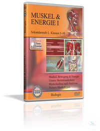 DVD - Muskel & Energie I DVD - Muskel & Energie I