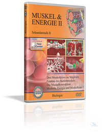 DVD - Muskel & Energie II DVD - Muskel & Energie II
