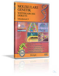 DVD - Molekulare Genetik, Weitergabe des Erbguts DVD - Molekulare Genetik,...