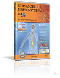 Real 3D Software - Nervenzelle & Nervensystem I Real 3D Software -...