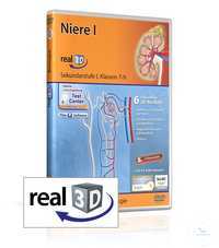 Niere - real3D Software Niere - real3D Software