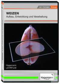 DVD - Weizen: Aufbau, Entwicklung, Verarbeitung DVD - Weizen: Aufbau,...