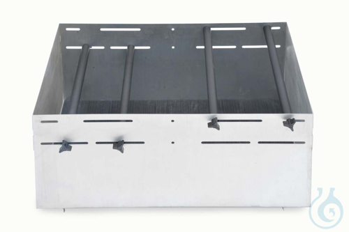 Grosser Gefaesstraeger, 91 X 61 cm