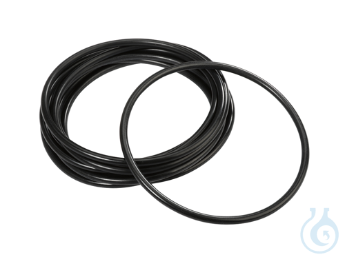 O-Ring fuer Rotor 30314820 10/pk