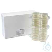 R2A, Agar (Ph. Eur.) (Placa Preparada (@ 55 mm)) para microbiología