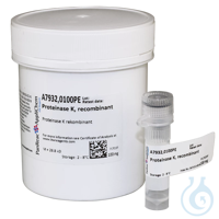 Proteinasa K, recombinante