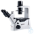 Objetivo CCIS Plan Fase PL Ph40X/0.5 (WD=3.0 mm) Ph1 Estéril: No Unidades/Caja: 1 Marca: MOTIC