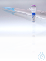 100 bp plus DNA Ladder, 250 µg 100 bp plus DNA Ladder, 250 µg100 bp plus DNA...