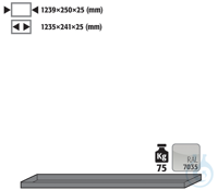 shelf sh.steel lam. for G90 B1400 1239x250x25 Shelf standardsheet steel...