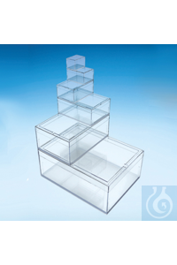 Rechteckdosen 60x45 mm (PS) Glasklar farblos, mit gut schliessendem...