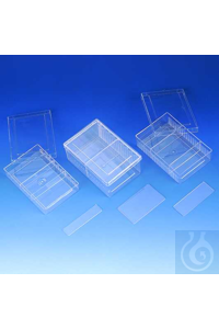 Lagerdose PS 120x80x20 mm glasklar, mit Deckel und 2 Trennwänden, die in...