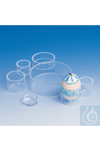 Rohrsockel Acryl 30 x 10mm Gefertigt aus hochwertigem transparentem...