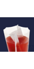 bag - homogenisation - sterile - with full filter