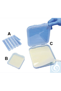 SP Bel-Art Antibody Saver Tray; Plastic, 5 Lane(? x 4½ in. Per Lane) SP...