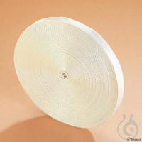 Befestigungsband 50 m x 25 mm  *Sonderanfertigung, keine Rückgabe!*...