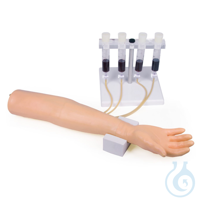 Trainingsarm für intravenöse Injektion und Infusion Trainingsarm für...