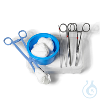 Abszess-Fistel-Set, steril  VE = 12 Sets Abszess-Fistel-Set, steril  VE = 12...