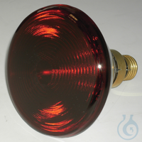 Ersatzlampe für Typ 240  UK = 15 Stck.(=240016) Ersatzlampe für Typ 240  UK =...