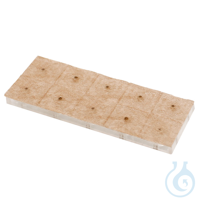 Magnetische Ohrkugeln (100 Stck.)  -neue Ausführung- Magnetische Ohrkugeln...