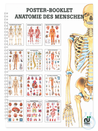 Mini-Poster Booklet: Anatomie Mini-Poster Booklet: Anatomie  