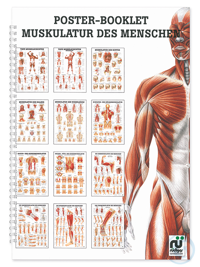 Mini-Poster Booklet: Muskulatur Mini-Poster Booklet: Muskulatur  