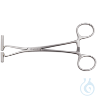 polierte Septum Zange polierte Septum Zange  