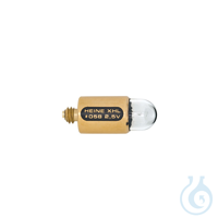 XHL Xenon Halogen Lampe 2,5 V XHL Xenon Halogen Lampe 2,5 V  
