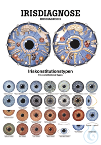 anat. Poster: Irisdiagnose 50 x 70 cm, Papier, zweisprachig anat. Poster:...