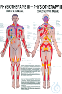 anat. Poster: Physiotherapie Bindegewebsmassage, 50 x 70 cm, Papier...